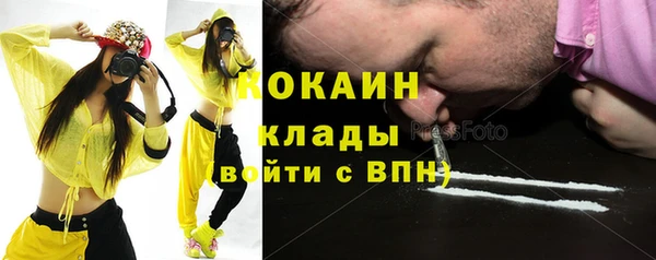 стафф Алексин