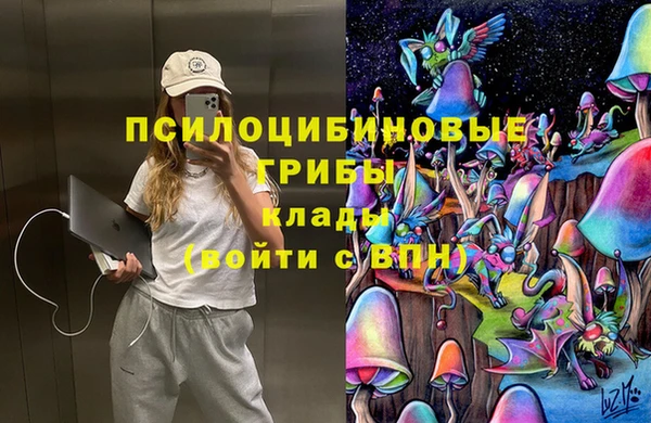 стафф Алексин