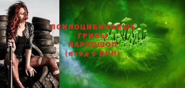 стафф Алексин