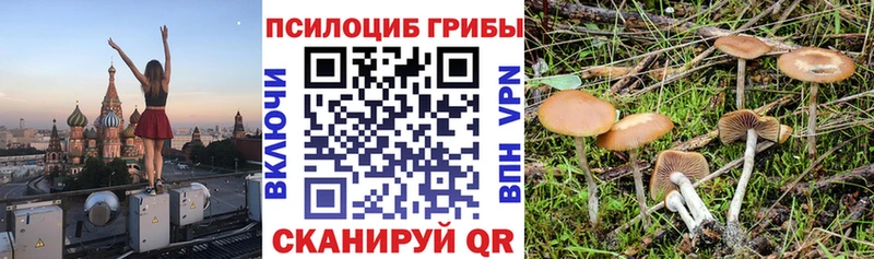 Галлюциногенные грибы Cubensis Орлов